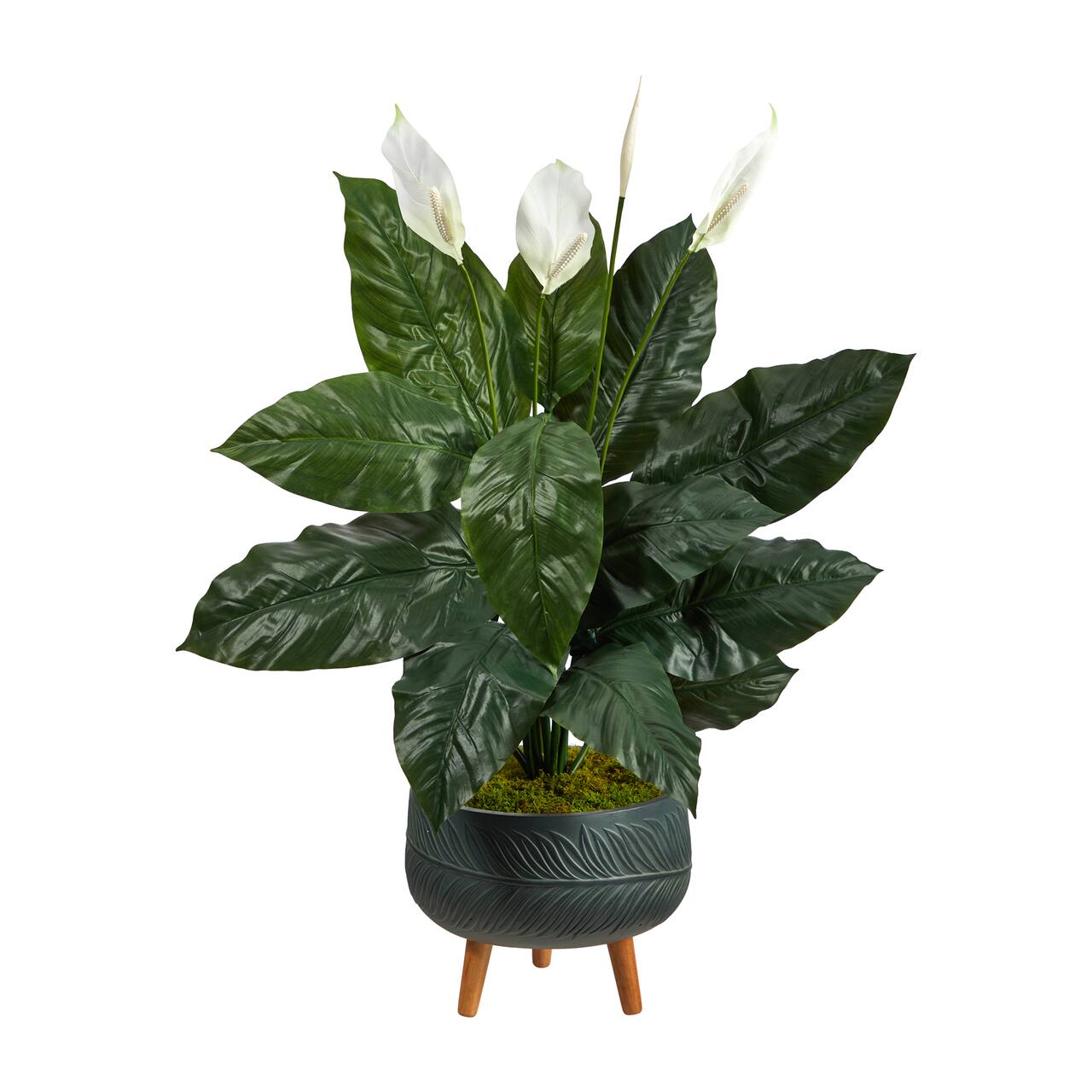 4ft. Peace Lily Plant in Black Planter with Stand